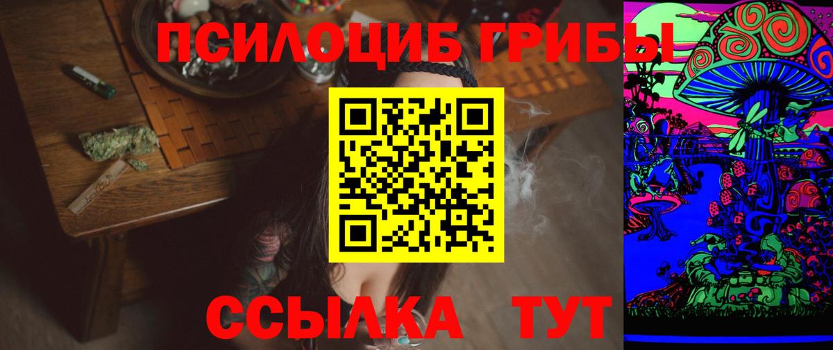 Псилоцибиновые грибы Cubensis  Вход с VPN  продажа наркотиков  Сальск 